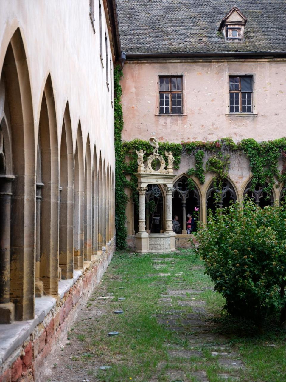 Les Suites Du Cygne Colmar Exterior foto